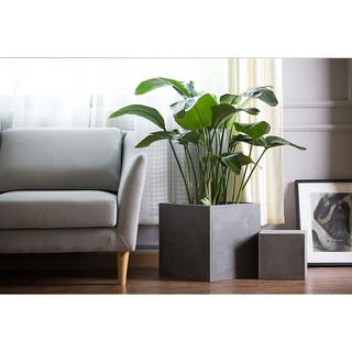 Chậu xi măng vuông (các cỡ) - Lan Decor