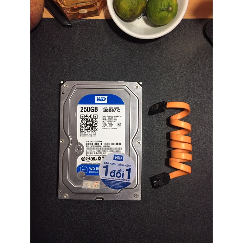 Ổ cứng Western Digital Caviar Blue 250GB SATA 16MB Cache