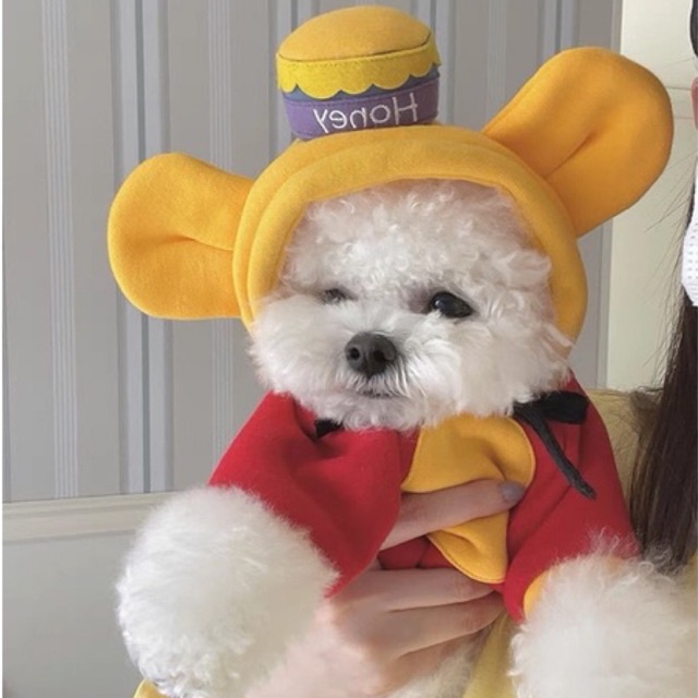 Áo nỉ hoodie cho chó mèo có mũ honey