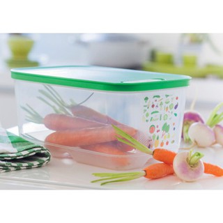 Hộp trữ mát có nút hô hấp Ventsmart 1 hộp

4.4l