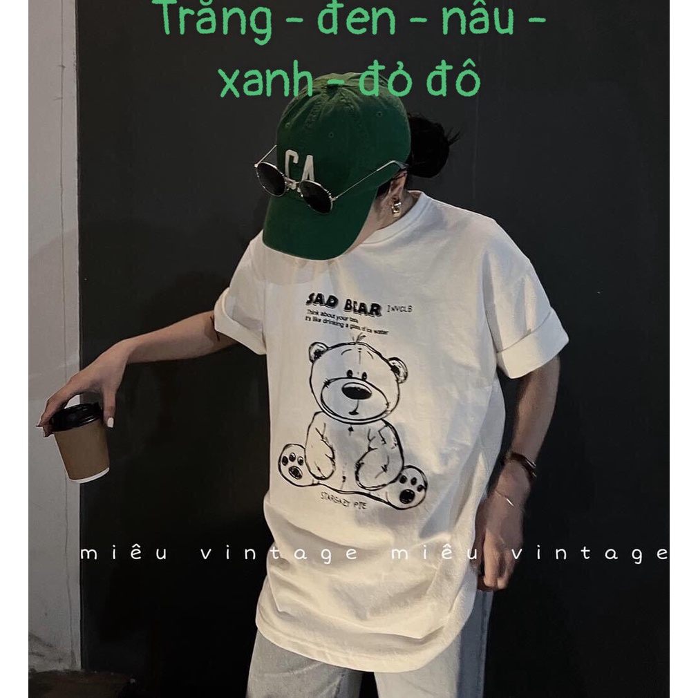 áo thun gấu Temi-phông 3158 mới | BigBuy360 - bigbuy360.vn