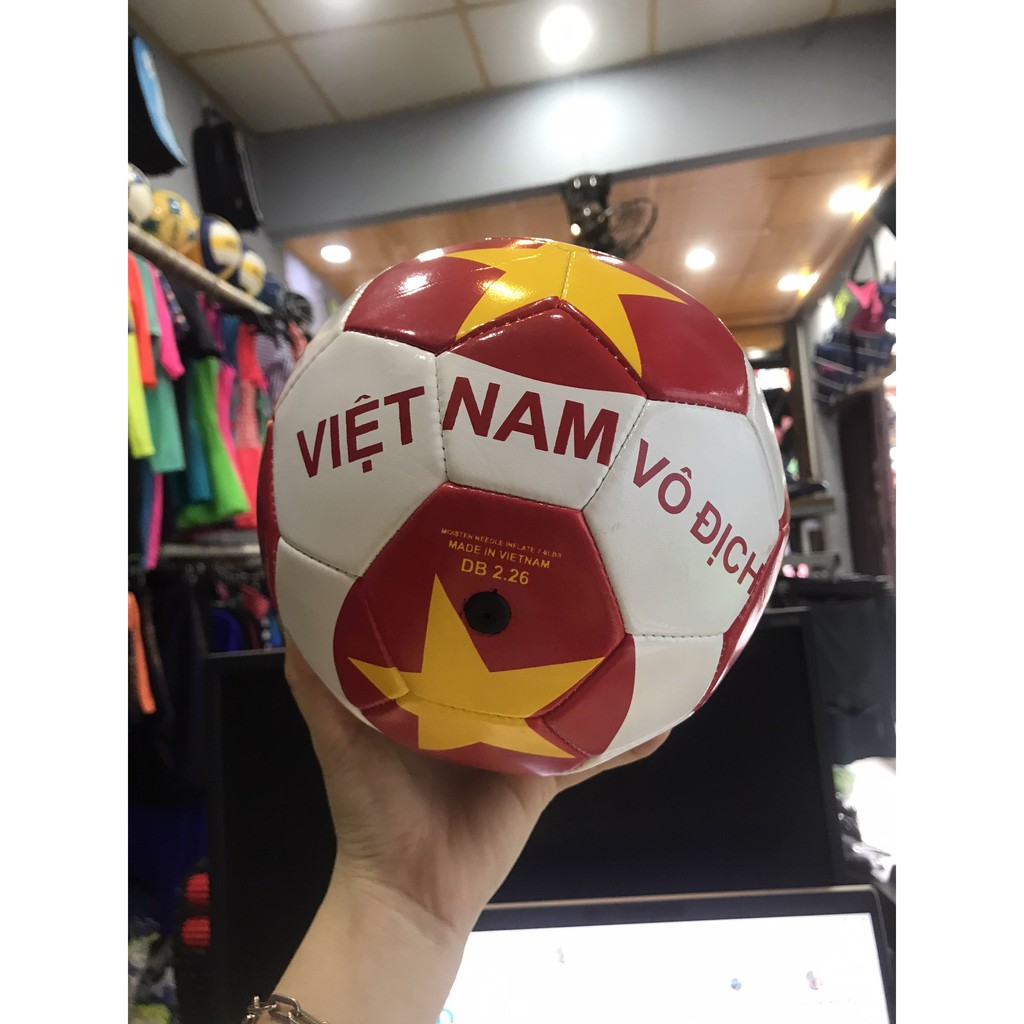 bóng đá trẻ em VIỆT NAM VÔ ĐỊCH