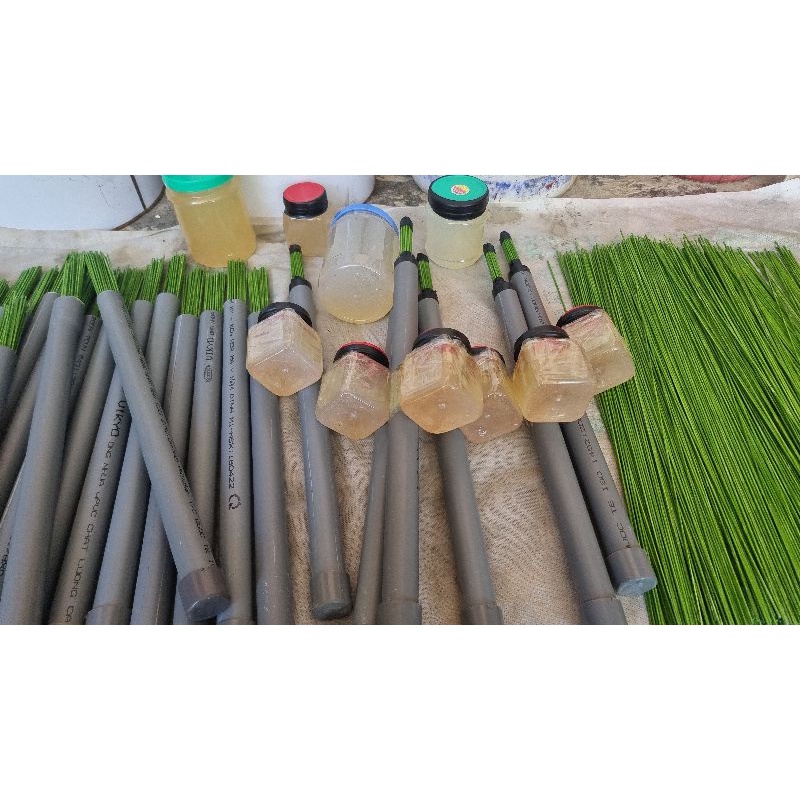 Bộ Bẫy chim bằng keo