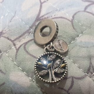 Combo nhà và cây gia đình, khăn lau