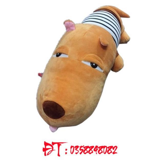 Chó Bông - Chó Pucco áo sọc size 75cm