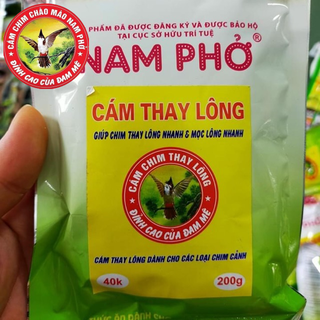 Cám thay lông Nam Phở