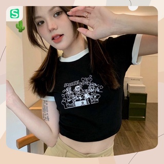 Áo thun, áo croptop boinci phối viền