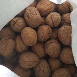 Óc chó Nhập khẩu Mỹ