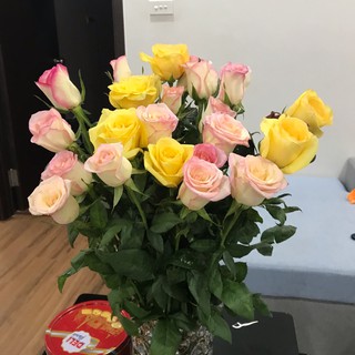 NGUYÊN LIỆU HUYỀNNHI