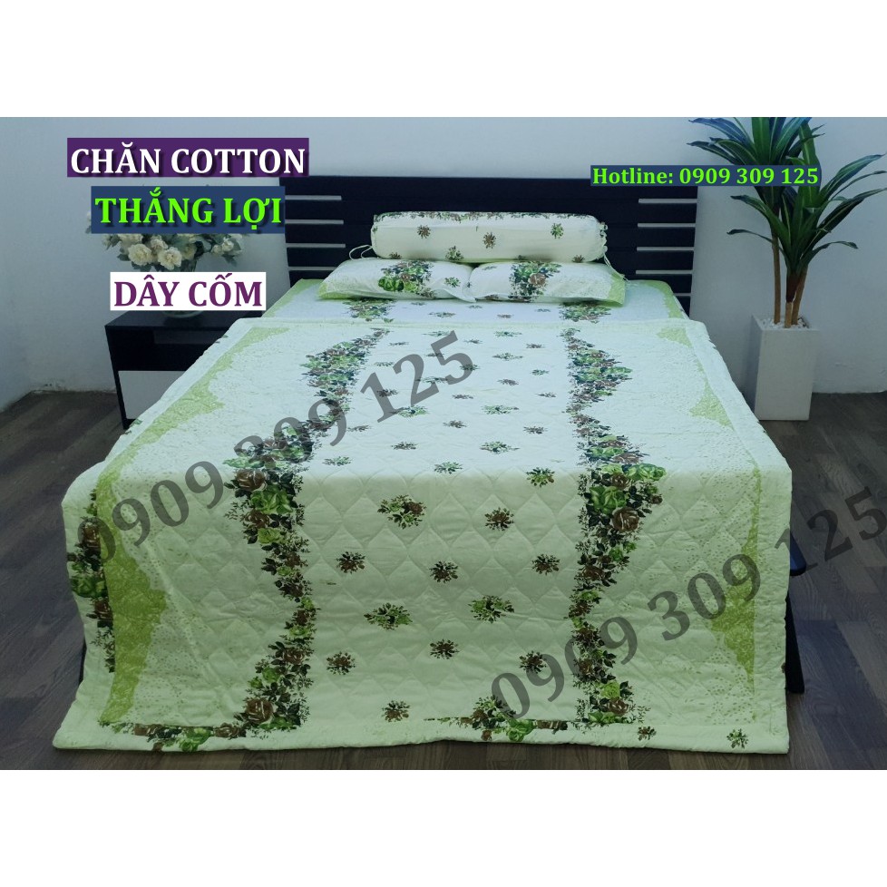 Drap Cotton 100% Thắng Lợi chính hãng IN LOGO THẮNG LỢI