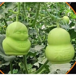(N82) Set 2 Khuôn Tạo Hình Trái Cây Fuwa, Khuôn Tạo Hình Tăng Trưởng Cho Vườn Cây