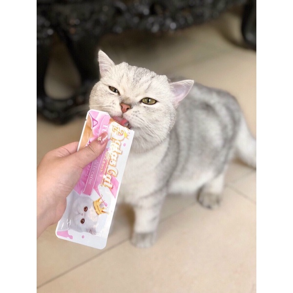 SỐT KEM THƯỞNG CHO MÈO - AATAS CAT CREAM  _ DATE 21/12/2023