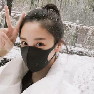 Khẩu trang Pitta mask người lớn