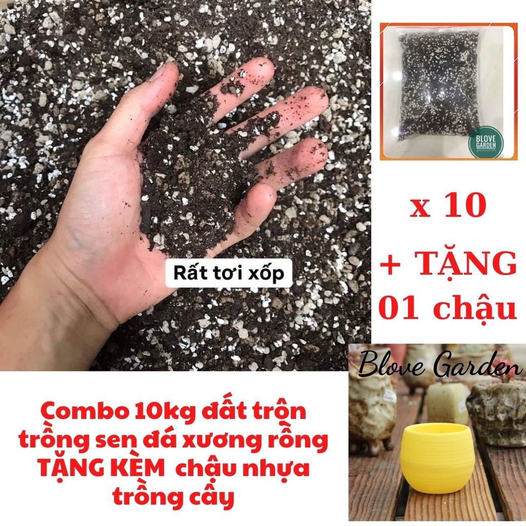 Combo 10 Kg đất trồng cao cấp trộn sẵn Đất Trồng Sen Đá, Xương Rồng