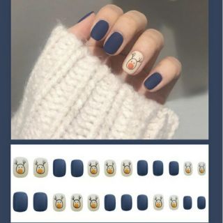 Bộ 24 móng tay giả nhám kèm keo