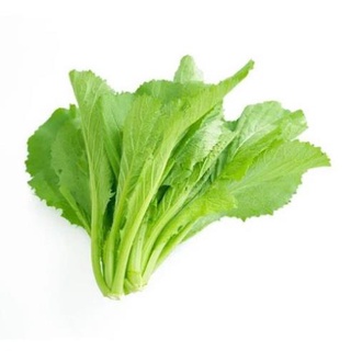 Hạt giống cải bẹ xanh mỡ .