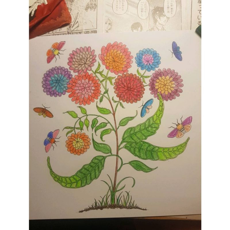 Sách Khu Vườn Bí Mật Coloring book( Secret garden ) - Johanna Basford