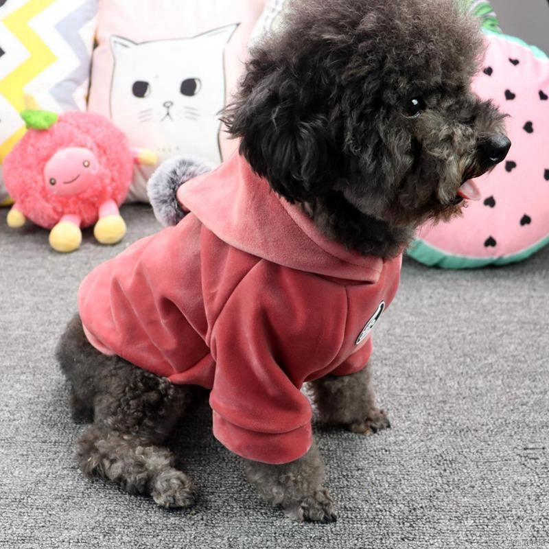 Áo Khoác Mùa Đông Cho Thú Cưng