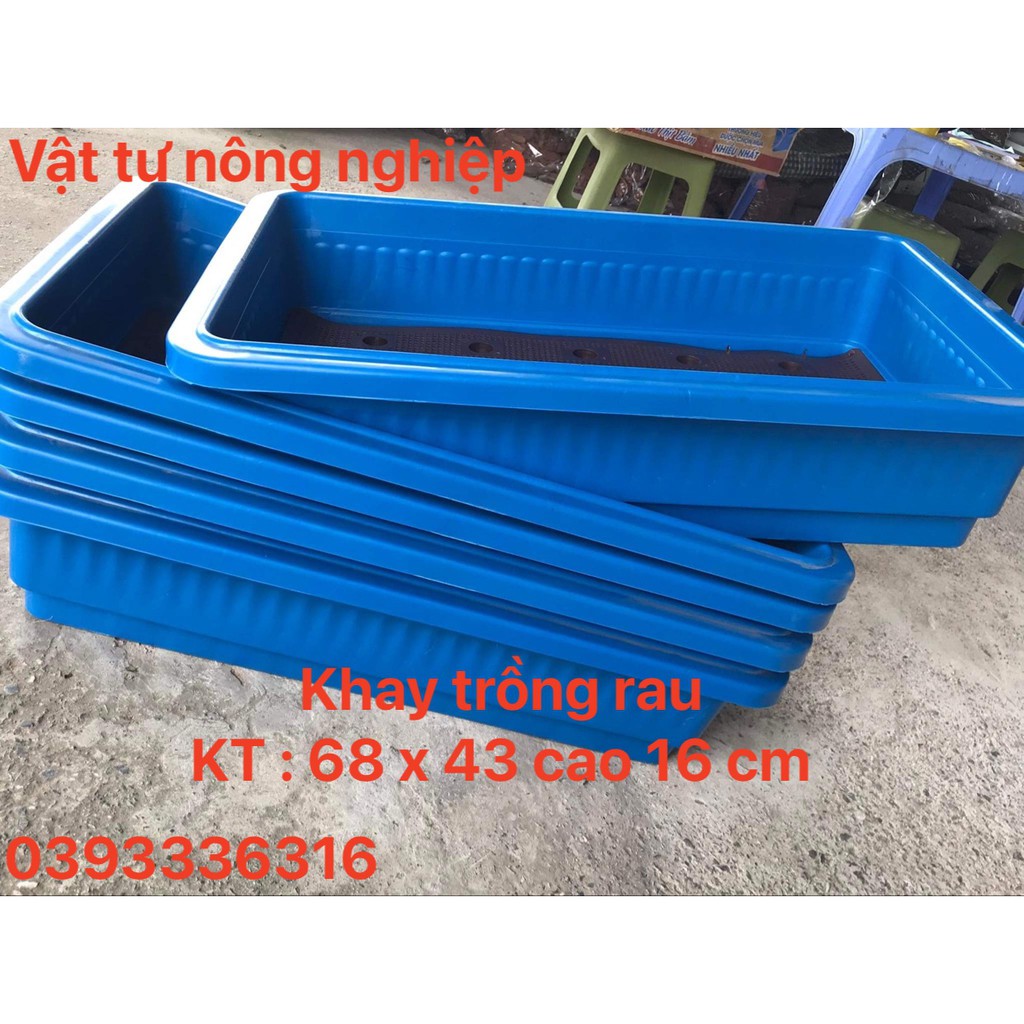 Combo 5 Chậu nhựa trồng rau sạch thông minh | Khay trồng rau thế hệ mới DÀI 68CM X RỘNG 42CM X CAO 16CM