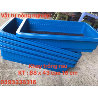 Combo 5 chậu nhựa trồng rau sạch thông minh | khay trồng rau thế hệ mới dài 68cm x rộng 42cm x cao 16cm