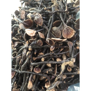 100gr nấm Linh Chi rừng ( thiên nhiên)