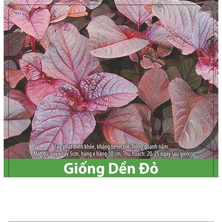 Hạt Giống Rau Dền Đỏ Cao Sản, Dễ Trồng Gói 20gr