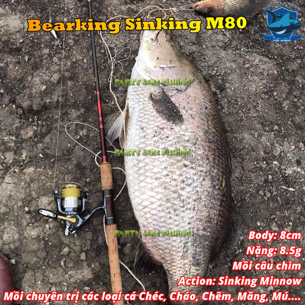 Mồi câu cá Bearking Sinking M80, mồi lure cá chẽm, chéc, măng, mú, cháo, nhồng...