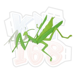 Mô hình giấy động vật côn trùng Bọ Ngựa ver 2