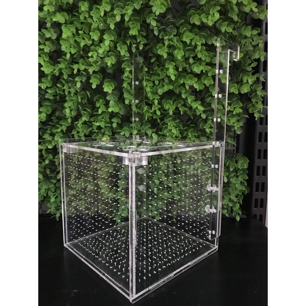 Lồng dưỡng tép, cá/ Lồng tách 15x15x15