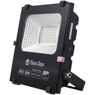 Đèn pha led 50w rạng đông dcp d cp06l 50w