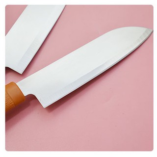 DAO BẾP GỌT TRÁI CÂY CÓ VỎ BẢO VỆ DB04