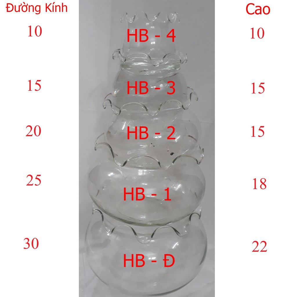 Bể cá Mini, Bình thủy tinh nuôi cá để bàn ,chậu cá thủy tinh, chậu thủy tinh trồng cây thủy sinh