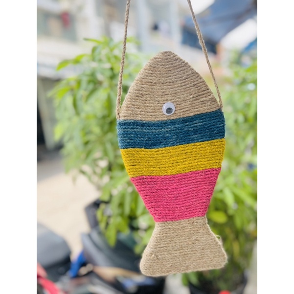 CÁ CÀO MÓNG CHO MÈO