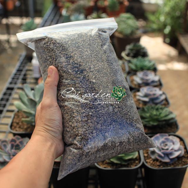Đá Bọt Pumice