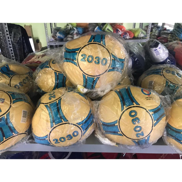 Bóng Đá Futsal 2030