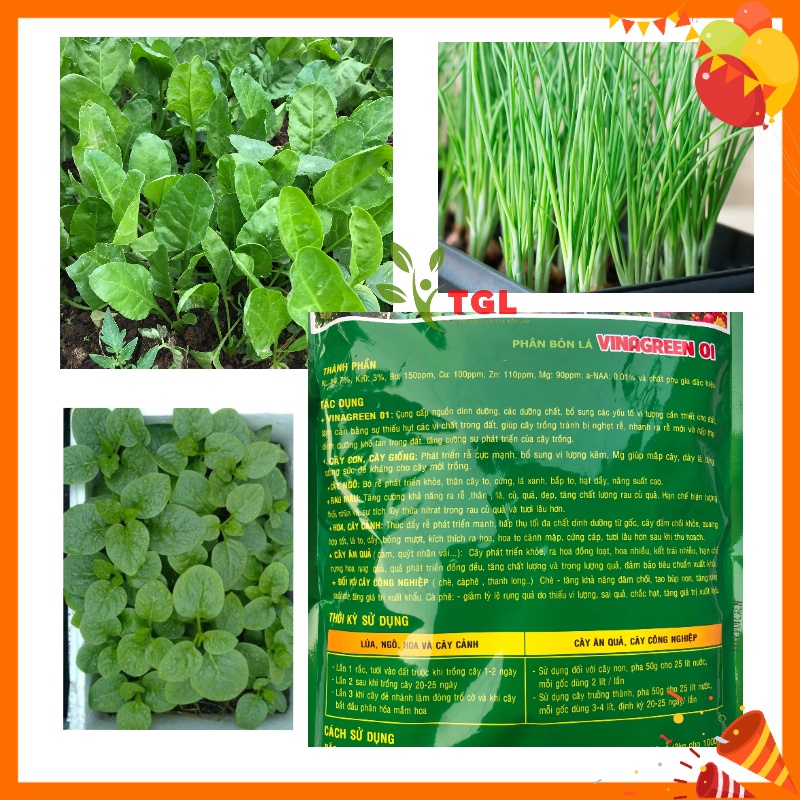 Phân Bón Vi Lượng VINAGREEN 01 - Gói 1kg - Phân vi lượng Siêu Ra Rễ, Dày Lá, Mập Cây