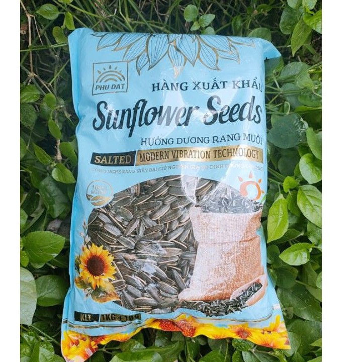 (Freeship từ 99k) 1kg hạt hướng dương sấy loại 1 to mẩy
