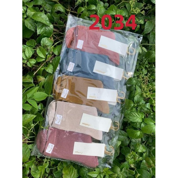 Set 5 đôi TẤT GÂN CAO CỔ MÓC cotton mềm mại, dày dặn