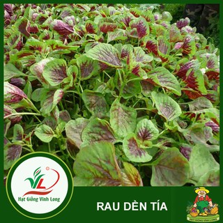 Hạt giống rau Dền tía RD 08 - 20g