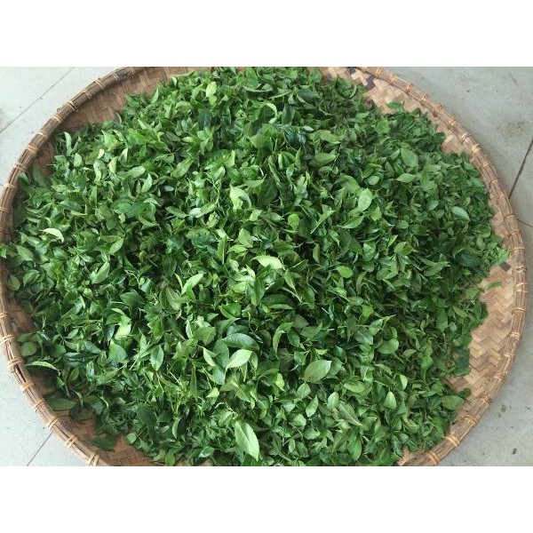 Trà búp Thái nguyên 100g - Chè Thái nguyên đặc sản - chè cành - Ngọc Trà Shop