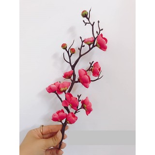 cành mai trang trí bánh kem