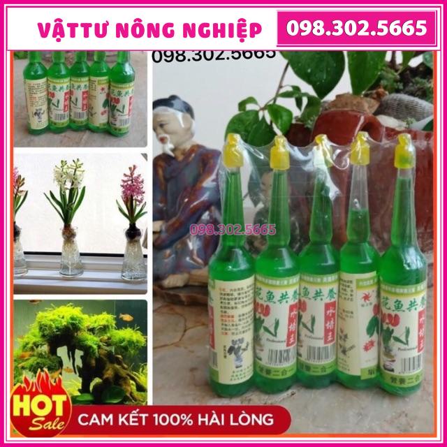 Dung dịch thuỷ canh cho cây thuỷ sinh, cắm hoa tươi lâu hơn