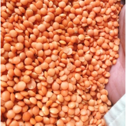 500g đậu lăng đỏ Canada