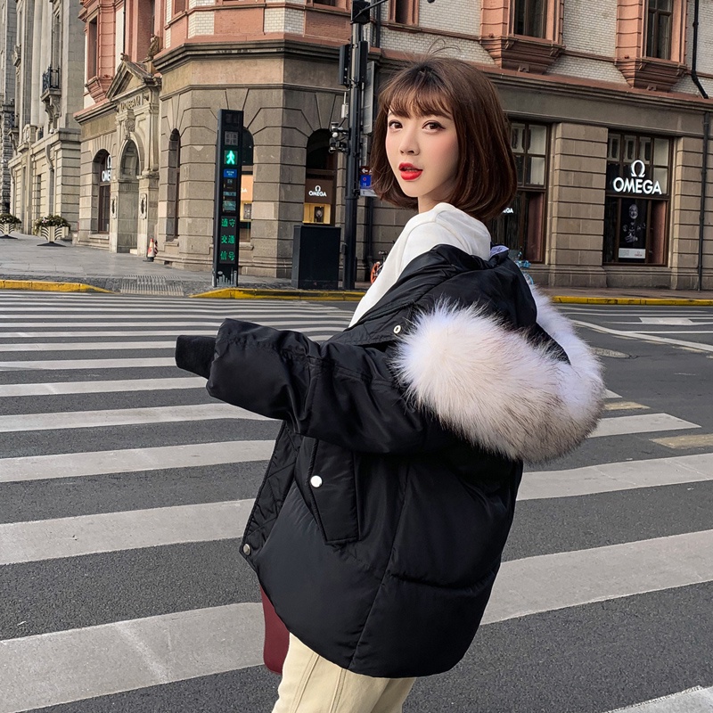 Áo phao nữ hàn quốc mũ lông đen kem chất đẹp hàng quảng châu cao cấp DAP1 | BigBuy360 - bigbuy360.vn