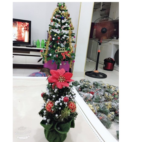 Cây thông Noel để bàn