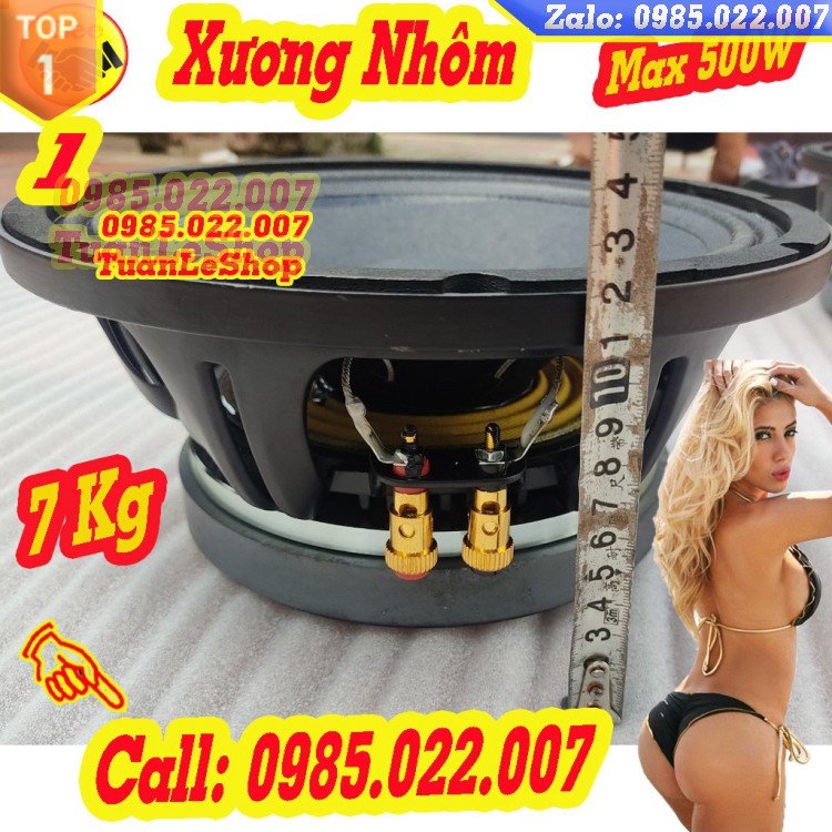 LOA BASS 2.5 TẤC COI 75 NR TỪ 190 – GIÁ 01 CỦ LOA 25