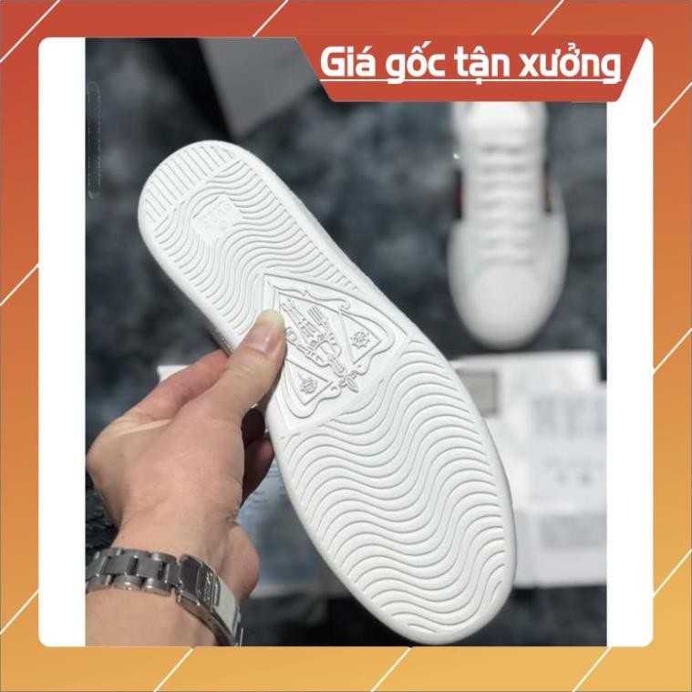 [FreeShip+ Hàng Cao Cấp] Giày thể thao Gucci nam nữ cao cấp, Giày nam nữ Full phụ kiện (ảnh thật)