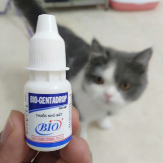 Chắm Sóc Sức Khỏe Cho Mèo, Thuốc Nhỏ Mắt Cho Mèo_Bio10ml