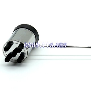 Cây Búa Lớn Diện Chẩn