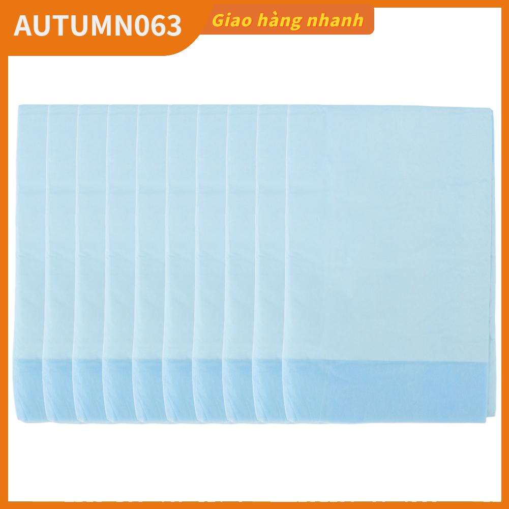 [Hàng mới về] 10 Tấm lót giường dùng một lần thấm hút êm ái nhẹ nhàng cho người lớn tuổi/ em bé/ mẹ bầu Autumn063